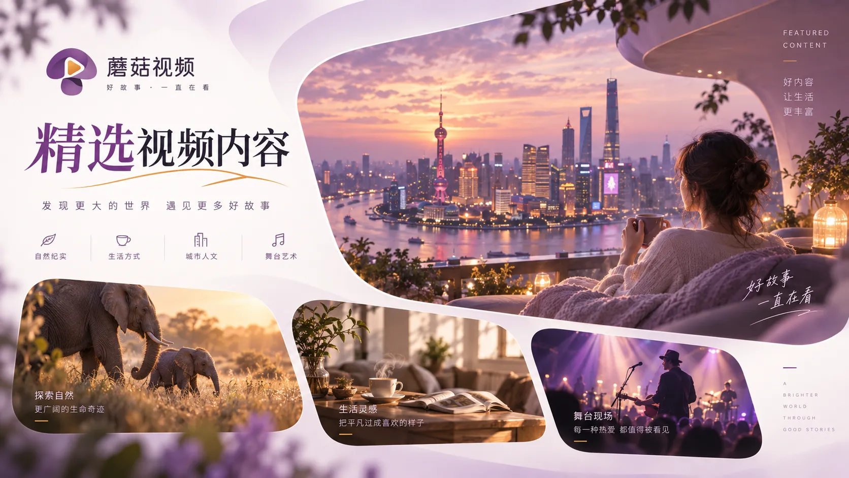 耐看旧作回顾：进入主题前值得知道的几件事观看主题配图